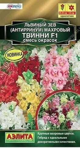 Однолетник. Смесь красок. Высота 25-30 см, ширина 20-25 см. Это первый низкорослый махровый F1 гибрид львиного зева на рынке. Растения с привлекательными полумахровыми и махровыми цветками, с мощным боковым ветвлением. Хорошо переносят жаркую и влажную погоду, поэтому на протяжении всего длительного периода обильного цветения сохраняют отличный вид. «Твинни» подходит для выращивания в 10-15 см горшках, вазонах, контейнерах. Семена равномерно распределяют по поверхности субстрата, предварительно хорошо увлажненному, и накрывают стеклом либо прозрачной пленкой. Для прорастания растения необходим свет и температура 18 градусов. При соблюдении этих условий всходы появляются на 7-10 день. Выращивают на свету, но избегая попадания прямых солнечных лучей. Подросшие растения пикируют в отдельные горшочки или ящики, оставляя 5 см между растениями. Акклиматизированные растения высаживают в грунт с шагом 20 см в начале мая.