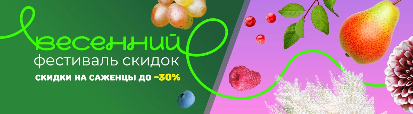 Весенний фестиваль скидок до 30%