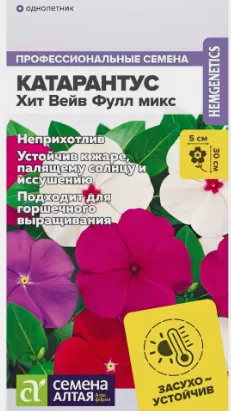 Катарантус Хит Вейв Фулл микс из каталога Разные Очаровательный сорт катарантуса, известный потрясающе яркими и красочными цветами, неприхотливостью, завидной устойчивостью к засухе и жаре. Его крупные соцветия всех оттенков радуги прекрасно подходят для озеленения балконов и клумб, эффектно смотрясь соло и в ансамбле с другими декоративными растениями. Декоративные особенности Катарантус «Хит Вейв Фулл микс» - хорошо ветвящееся и быстро разрастающееся растение, отличающееся компактностью и аккуратностью. Его высота не превышает 20-30 см, диаметр до 30 см. У катарантуса крупные цветки диаметром 3-5 см, привлекающие внимание яркой разноцветной окраской. Цветение «Хит Вейв Фулл» пышное и обильное, длящееся на протяжении всего сезона, с мая до сентября. В ландшафтном дизайне «Хит Вейв Фулл» микс катарантус, который станет ярким украшением любого балкона, террасы или цветника. Это универсальный многолетник, отлично подходящий для выращивания в балконном ящике, кашпо, вдоль садовой дорожки или же на клумбе. Катарантус идеально сочетается с другими декоративными культурами, позволяя создавать яркие и оригинальные ландшафтные композиции. Самодостаточное растение отлично смотрится соло, становясь красочным акцентом любого балкона или цветника. Условия выращивания Для посадки катарантуса «Хит Вейв Фулл» выбирают хорошо освещенный участок с легкой, питательной почвой с добавлением песка и вермикулита. Декоративное растение выращивается как однолетник рассадным способом. Семена для рассады высеивают с февраля до первой половины апреля, используя для этого торфяные таблетки или другие емкости. Семена углубляют на 3 мм и присыпают тонким слоем вермикулита. Посевы оставляют под стеклом или полиэтиленом до появления первых ростков, ежедневно проветривая. Молодые сеянцы переносят в хорошо освещенное и теплое место с температурой +19-22°С, после появления 1-2 пар настоящих листочков пикируют. Во второй половине мая или начале июня рассаду катарантуса переносят на постоянное место или пересаживают в балконный ящик. «Хит Вейв Фулл» нуждается в своевременных поливах, подкормках минеральными удобрениями (каждые 2 недели) и аккуратных рыхлениях почвы.