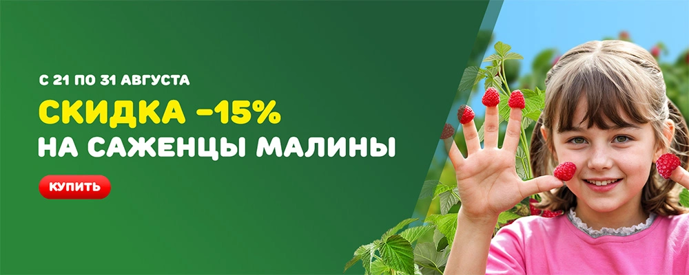 Саженцы малины 15 % скидка 2025