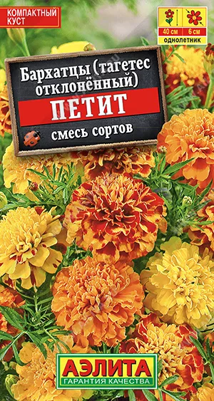 Внешний вид и особенности