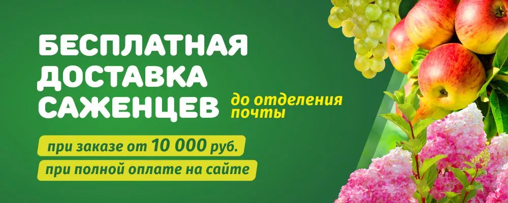 Бесплатная доставка саженцев