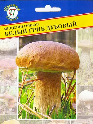 Белый гриб (мицелий на компосте, 60 мл)
