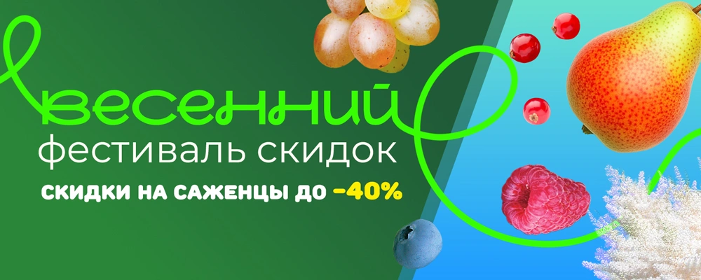 Весенний фестиваль скидок до 30%