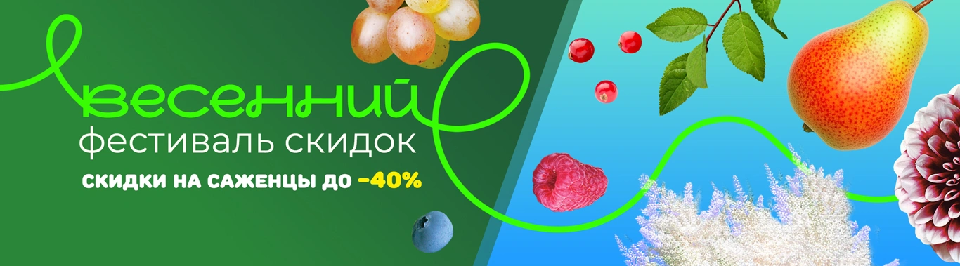 Весенний фестиваль скидок до 30%
