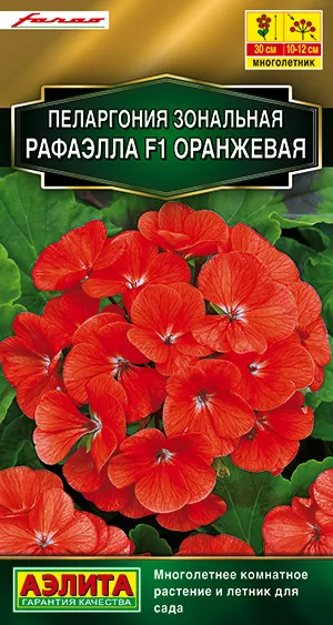 Купить семена Пеларгония Рафаэлла оранжевая F1 зональная от Аэлита, 4361