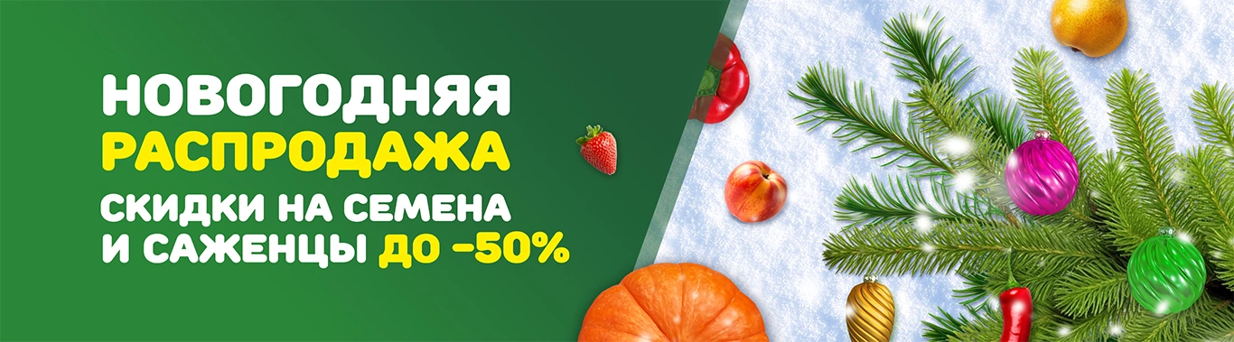 Новогодняя распродажа 2025
