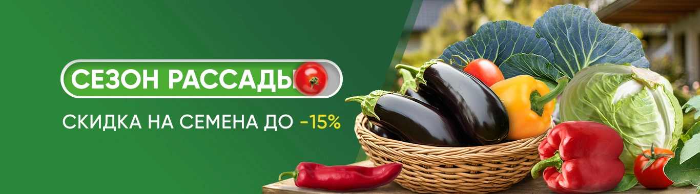 Сезон рассады семена до минус 15