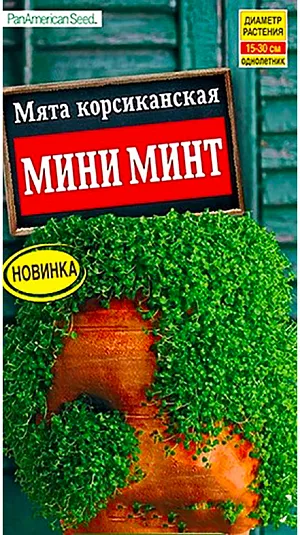 Мята корсиканская Мини минт 