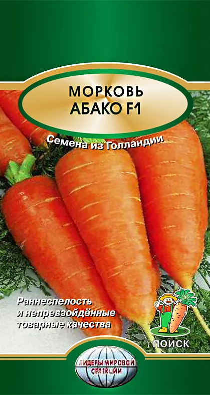 Размер и форма моркови Абако F1