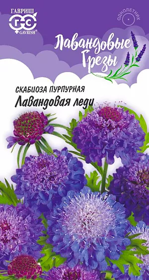 Купить семена Скабиоза пурпурная Лавандовая леди от Гавриш, 7672