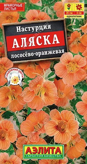 Эффектная кустовая настурция с декоративной, мраморной листвой. Кусты компактные, высотой 25-35 см. Растут и развиваются быстро. Цветки простые со шпорцем, Ø 3-4 см. Цветение раннее и продолжительное, вплоть до заморозков. Привлекательная смесь настурции украсит рабатки, миксбордеры, станет неповторимой бордюрной культурой. Идеально подойдет для выращивания в садовых вазонах и балконных ящиках.