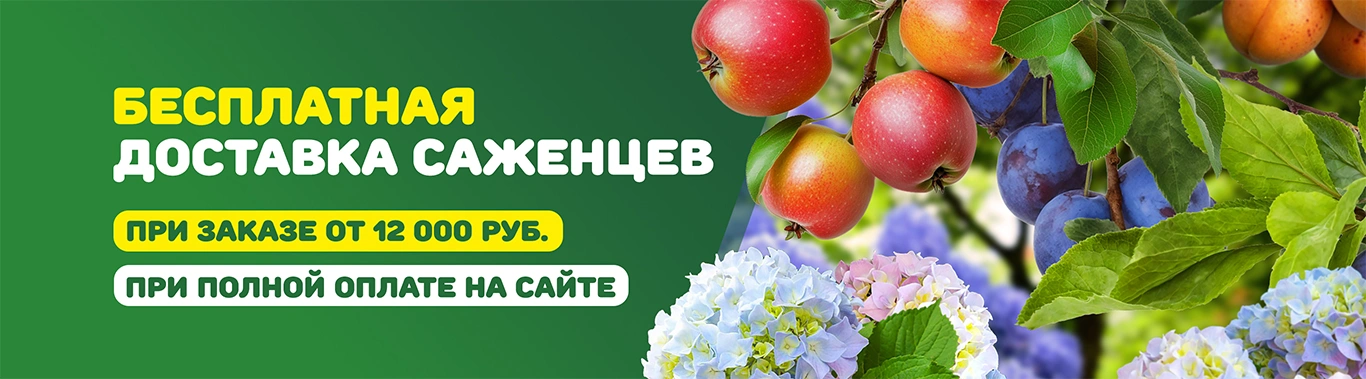 Бесплатная доставка саженцев