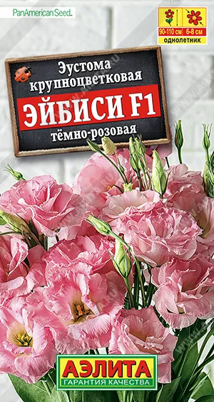 Семена Эустома Эйбиси F1 темно-розовая крупноцветковая махровая из каталога Эустома Воздушная эустома – идеальный цветок для букета. Современный срезочный гибрид американской селекции компании PanAmerican Seed – растение стройное, высотой 90-110 см, с зелено-сизой листвой восковой фактуры. Верхняя часть стебля сильно ветвится и образует массу бутонов, которые раскрываются поочередно. Цветки густомахровые, Ø 6-8 см, с широкими лепестками, на крепких, длинных цветоносах. Гибрид эустомы восхищает красивыми цветками, а также удивляет необыкновенной стойкостью букетов в вазе. Растение подходит для выращивания в открытом грунте, в высоком пленочном тоннеле и в теплице (круглогодично).
Семена в гранулах! Гранулы располагают на поверхности почвы, не заделывая их, хорошо увлажняют из распылителя. При попадании влаги на гранулу оболочка должна раствориться. Посевы накрывают стеклом для сохранения постоянной влажности до полных всходов. Посевам необходимо обеспечить стабильную освещенность не менее 16 часов в сутки.