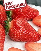 Земляника садовая Азия