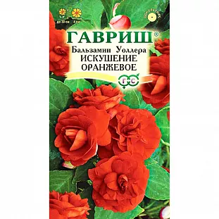 Бальзамины на даче: особенности выращивания и размножения, размещение