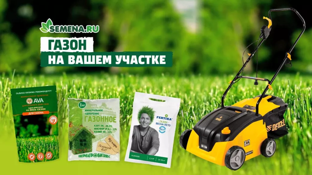 Газон на Вашем участке2 (1).jpg