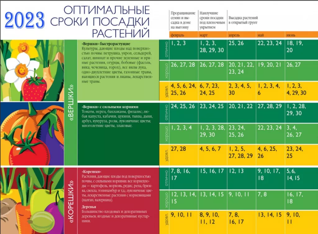 СЕНТЯБРЬ Лунный посевной календарь огородника и садовода - 