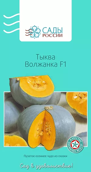 Тыква Волжанка F1 