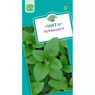Семена Мята перечная Кубанская 6