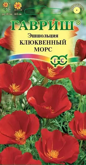 Семена Эшшольция Клюквенный Морс.<br>
 Неприхотливое привлекательное растение из семейства Маковые высотой до 35 см, с серебристо-зелеными ажурными листьями и красными цветками (4-5 см в диаметре) на тонких цветоносах.<br>
 Цветение обильное, начинается в первой половине июля и продолжается до заморозков. Светолюбива, засухоустойчива, холодостойка. <br>
 Предпочитает сухие солнечные места, не переносит избытка влаги. Выращивают прямым посевом в грунт в конце апреля - начале мая или в октябре. Всходы появляются через 10-14 дней, их прореживают на расстоянии 20 см. <br>
Используется для посадки на клумбах, в рабатках, бордюрах и группах, а также в контейнеры и вазы.