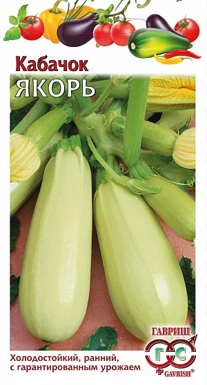 Семена Кабачок Якорь
