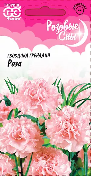 Семена Гвоздика садовая Гренадин Роза. Популярное двулетнее травянистое растение для любительских цветников, формирует хорошо развитые кустики 50-60 см высотой. Стебли прямые, тонкие, коленчатые, облиственные. Листья узколинейные, прикорневые собраны в основании куста в розетку. Листья и стебли покрыты серебристо-сизым налетом. Цветки розовые, махровые, до 5 см в диаметре, расположены на концах побегов, с тонким ароматом. Цветет обильно на второй год после посева с июля по август. Неприхотлива, холодостойка, предпочитает солнечные участки с легкой, плодородной, некислой почвой.<br>
 <br>
 Посев проводят в конце мая – начале июня на рассадочные гряды в парник на глубину 0,5-1 см. Сеянцы в фазе 2-3 настоящих листьев продергивают или пикируют на расстояние 10 см между растениями. В августе рассаду высаживают на постоянное место на расстоянии 20-30 см. В первый год растение формирует розетку листьев. На зиму молодые растения желательно укрыть лапником. Используют для всех видов цветников и качественной срезки, в воде гвоздика долго сохраняет декоративность.