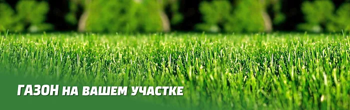 ГАЗОН НА ВАШЕМ УЧАСТКЕ ГАЗОН НА ВАШЕМ УЧАСТКЕ