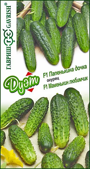 Семена Огурец Папенькина дочка + Маменькин любимчик серия Дуэт