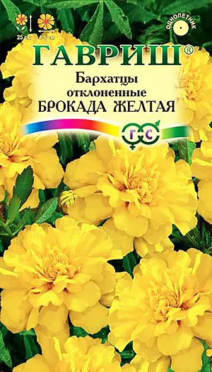 Семена Бархатцы Брокада желтая отклоненные.
Яркая серия компактных бархатцев для украшения бордюров, рабаток, вазонов и балконных ящиков. Образует ветвистый кустик высотой 25 см. 
Соцветия диаметром 4-5 см, желтого цвета. Цветет с июня до заморозков. Бархатцы светолюбивы и теплолюбивы, заморозков не переносят, к почвам нетребовательны, но предпочитают плодородные легкие почвы. Посев на рассаду проводят во второй половине марте-начале апреля. Всходы появляются через 4-8 дней после посева, сеянцы пикируют в фазе 2-го настоящего листа.
Рассаду высаживают в начале июня с расстоянием между растениями 30-35 см. Посев в открытый грунт проводят в мае на глубину 1,5-2 см.

