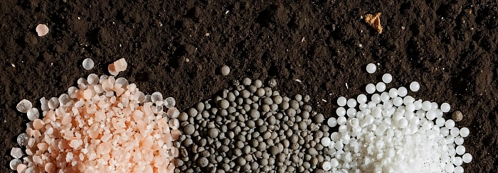 «Корневое бронирование»: фосфорно-калийные удобрения в ноябре и правила глубокой заделки