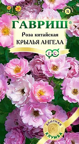 Семена Роза китайская Крылья ангела.
Привлекательная миниатюрная роза для выращивания из семян. Уже через 12 недель после получения всходов ее компактный кустик высотой 15-20 см нельзя будет узнать – он превратится в розовое «облачко». Мелкие, кожистые листочки закроются объемными соцветиями, состоящими из простых, махровых и полумахровых цветков. Как и все розы, сорт предпочитает теплые солнечные места на рыхлых плодородных почвах, ему необходимы регулярные поливы и подкормки, а на зиму – традиционное для роз укрытие. Розу легко вырастить из семян, которые высевают, присыпав тонким слоем почвы. Оптимальная температура для их прорастания – +18-20о С, всходы появляются через 20-30 дней. Мини-розы подходят для бордюров, композиций, патио - культуры.