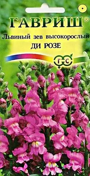 Семена Львиный зев (Антирринум) Ди Розе<br>
 <br>
 Великолепный крупноцветковый срезочный сорт.Декоративное растение из семейства Норичниковые, культивируемое как однолетник, высотой 70-90 см. Цветет с конца июня до поздних заморозков. Цветки  собраны в кистевидные соцветия светло-розовой окраски. Холодостоек, светолюбив, к почвам нетребователен, в засушливый период нуждается в поливе. Выращивают рассадным способом. Ипользуется для групповых посадок и цветников, а также для получения высококачественной срезки (львиный зев стоит в воде до двух недель).<br>