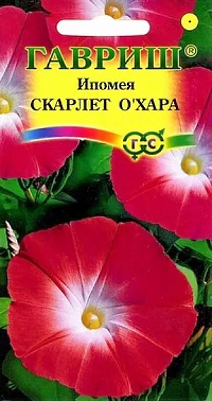 Ипомея Скарлет Охара из каталога Ипомея Семена Ипомея Скарлет Охара.
Вьющееся растение для вертикального озеленения из семейства Вьюнковые с побегами длиной до 2 м.
Цветение обильное, с конца июня до заморозков. Цветки воронковидные, крупные (7-10 см в диаметре), красной окраски.
Светолюбива и теплолюбива, заморозков не переносит. Высевают в открытый грунт во второй половине мая.
Семена перед посевом желательно замачивать на сутки.
Всходы появляются через 6-14 дней, расстояние между растениями должно составлять 25-35 см.
Используется для озеленения балконов и ваз, создания вертикальных цветущих ширм.