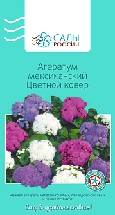 Агератум Мексиканский цветной ковёр