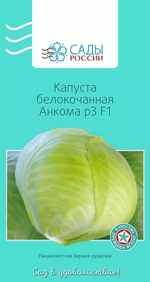Семена Капуста белокочанная Анкома F1