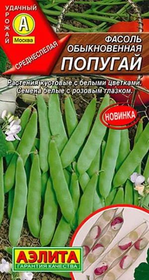 Семена Фасоль Попугай Семена Фасоль Попугай