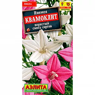 Ипомея Квамоклит, смесь сортов