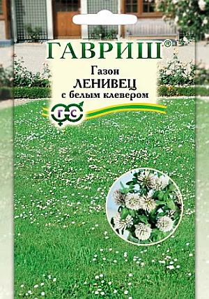 Газон Ленивец с белым клевером