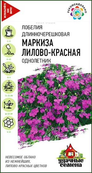 Семена Лобелия ампельная Маркиза лилово-красная из каталога Лобелия Семена Лобелия ампельная Маркиза лилово-красная <br>
<br>
Изящное растение с каскадной формой куста, с обильно цветущими, свешивающимися побегам. Цветки лилово-красные, до 2 см в диаметре, двугубые. Цветет обильно, в течение всего сезона. Лобелия хороша в вазонах, балконных ящиках и висячих корзинах, ее высаживают в бордюры в качестве почвопокровного растения. Для большего кущения растения прищипывают.<br>