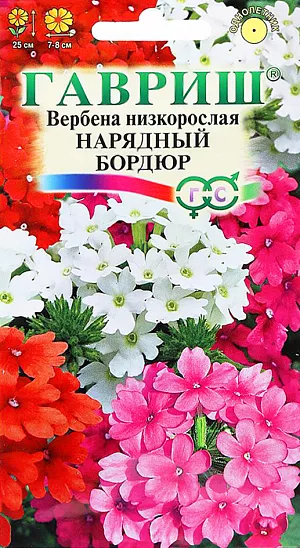 Семена Вербена низкорослая Нарядный Бордюр.
Растение высотой 25 см, культивируется, как однолетник (семейство Вербеновые). Цветет с июля по сентябрь. 
Цветки разнообразной окраски, собраны в соцветия диаметром 7-8 см, имеют приятный запах. 
Светолюбива и холодостойка, предпочитает рыхлые плодородные почвы. Выращивают рассадным способом. 
Семена высевают в конце марта - начале апреля. Всходы появляются через 10-20 дней. 
Рассаду высаживают в открытый грунт в середине мая на расстоянии 25 см. 
Используют для посадки на клумбах, рабатках, в группах, невысокие формы особенно хороши в бордюрах.