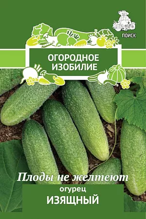 Семена Огурец Изящный Семена Огурец Изящный