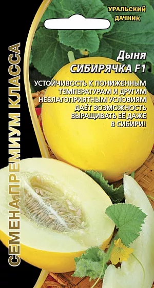 Семена Дыня Сибирячка