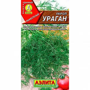 Укроп Ураган