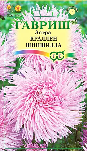Семена Астра Краллен Шиншилла, однолетняя из каталога Астра Семена Астра Краллен Шиншилла, однолетняя.
Относится к группе коготковых астр. Растение однолетнее, мощное, с пирамидальной формой куста и длинными цветоносами, высотой 75 см. Соцветия светло-розовые, оригинальной формы, крупные, 7-9 см в диаметре. Свернутые в трубку лепестки с легким изгибом внутрь, от периферии к центру закручиваются по спирали. Хорошо растет на освещенных, защищенных от ветра участках с дренируемой нейтральной или произвесткованной почвой. Оптимальная для прорастания семян температура почвы 20°C. Семена высевают в марте-апреле, пикируют с развитием первой пары настоящих листочков по схеме 5х5 см, в открытый грунт рассаду высаживают с середины мая до начала июня. Возможен подзимний посев астр в конце октября. Сверху посевы мульчируют торфом или опилками на высоту 3-5 см. Весной, в конце марта-начале апреля, посевы раскрывают Используется на срезку, в групповых посадках и цветниках.