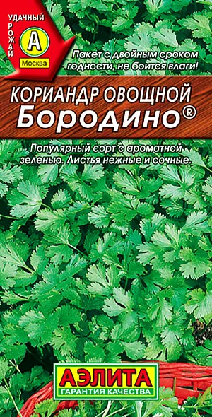 Семена Кориандр овощной Бородино