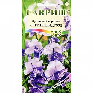Душистый горошек Сиреневый Дрозд