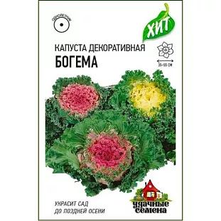 Капуста декоративная Богема Капуста декоративная Богема