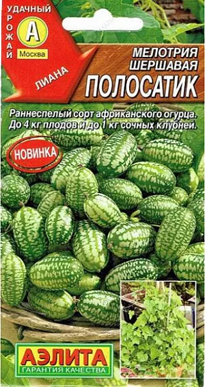 Семена Мелотрия Полосатик (Мышиная дыня) Семена Мелотрия Полосатик (Мышиная дыня)