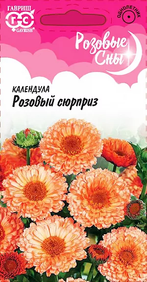Семена Календула Розовый сюрприз.
Очень популярный неприхотливый, холодостойкий однолетник семейства Сложноцветные. 
Светолюбивое и засухоустойчивое растение высотой 50-60 см, ветвистое, компактное.
Соцветия крупные, 7-10 см диаметром, густомахровые, черепитчатые, перламутрово-розовой окраски. 
Сроки посева растянуты с апреля до октября. Для ускорения цветения сеют в апреле на рассаду, в мае - прямо в грунт гнездами на расстоянии 15-25 см; в течение лета - для более позднего цветения. Под зиму высевают для цветения в июне. Цветет через 45-50 дней после появления всходов. 
Легко размножается самосевом. Календулу широко используют в озеленении и на срез, в лекарственных и пищевых целях.